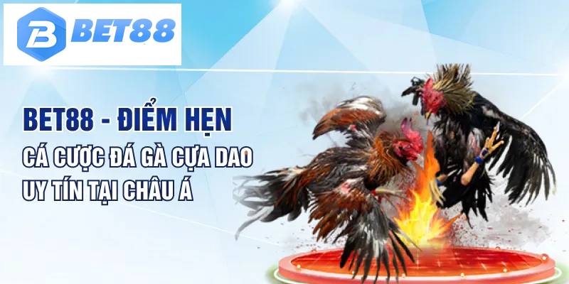 Bet88 – Điểm hẹn cá cược đá gà cựa dao uy tín tại châu Á