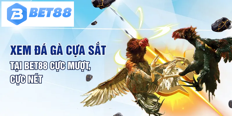 Xem đá gà cựa sắt tại Bet88 cực mượt, cực nét